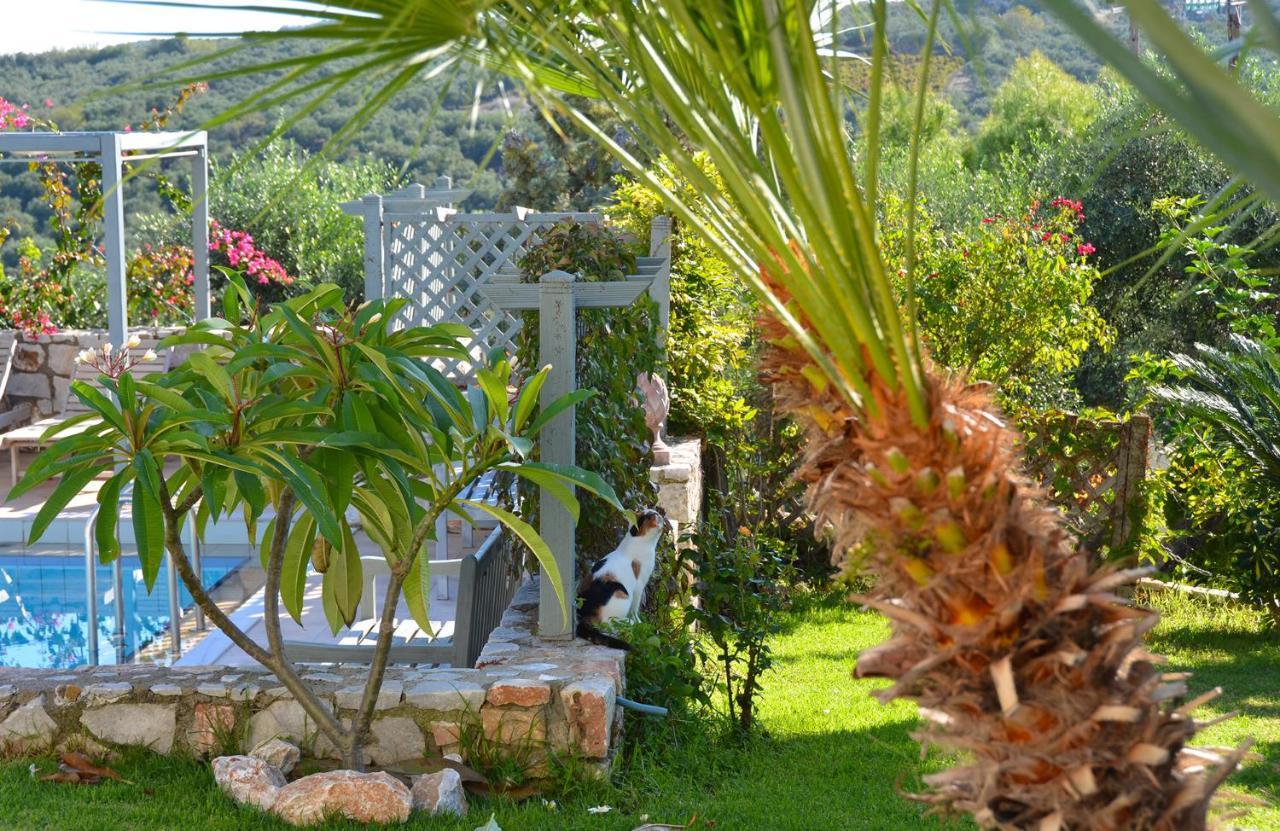 West Crete Chania - Villa Europa Darmarochori Exterior photo